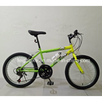 Производство 18 Speed ​​Student MTB 20 &quot;Mountain Bike (FP-KDB-17091)